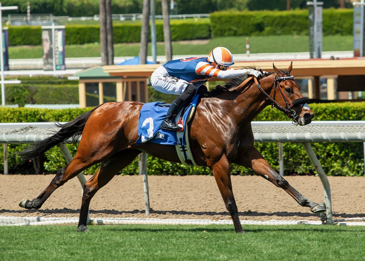 Little Red Feather Racing tweet media