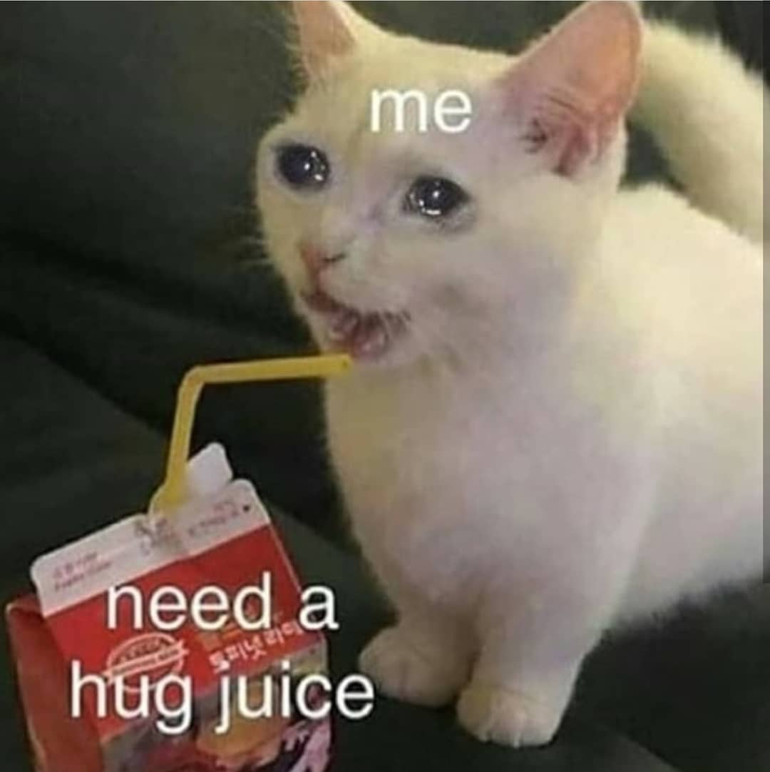 Punch Cat tweet media