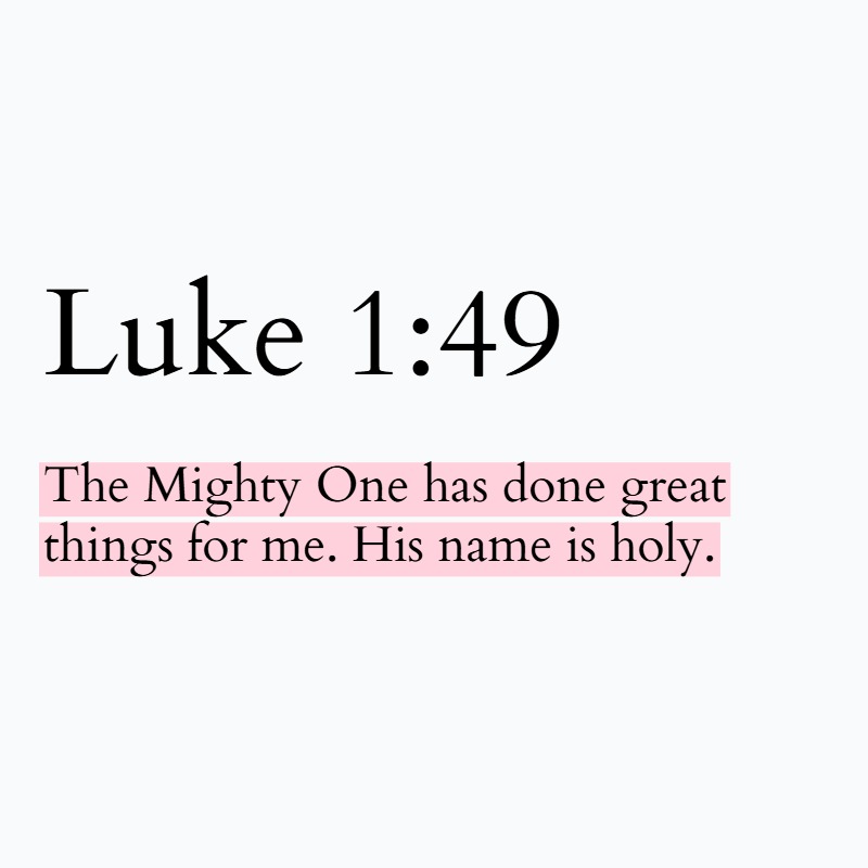 Holy Bible tweet media