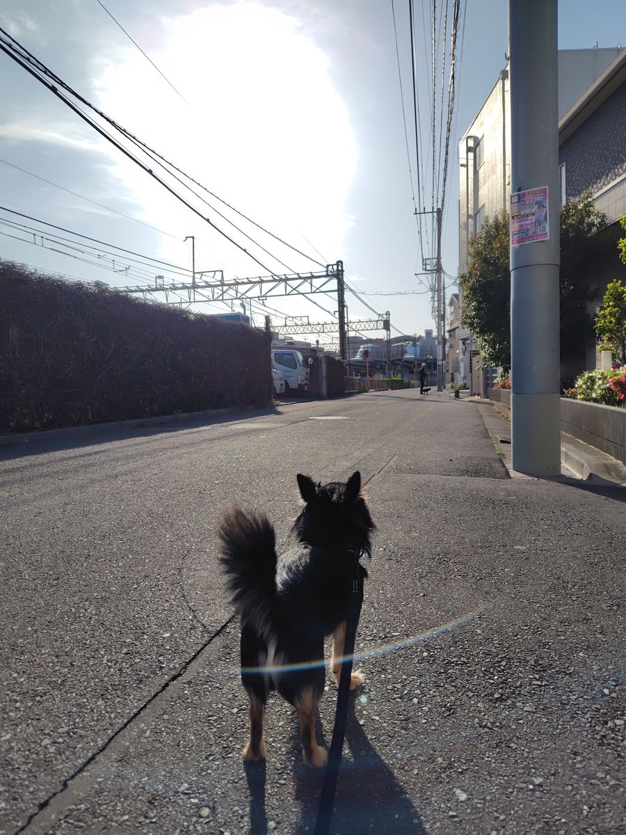 moriyakamijo tweet media