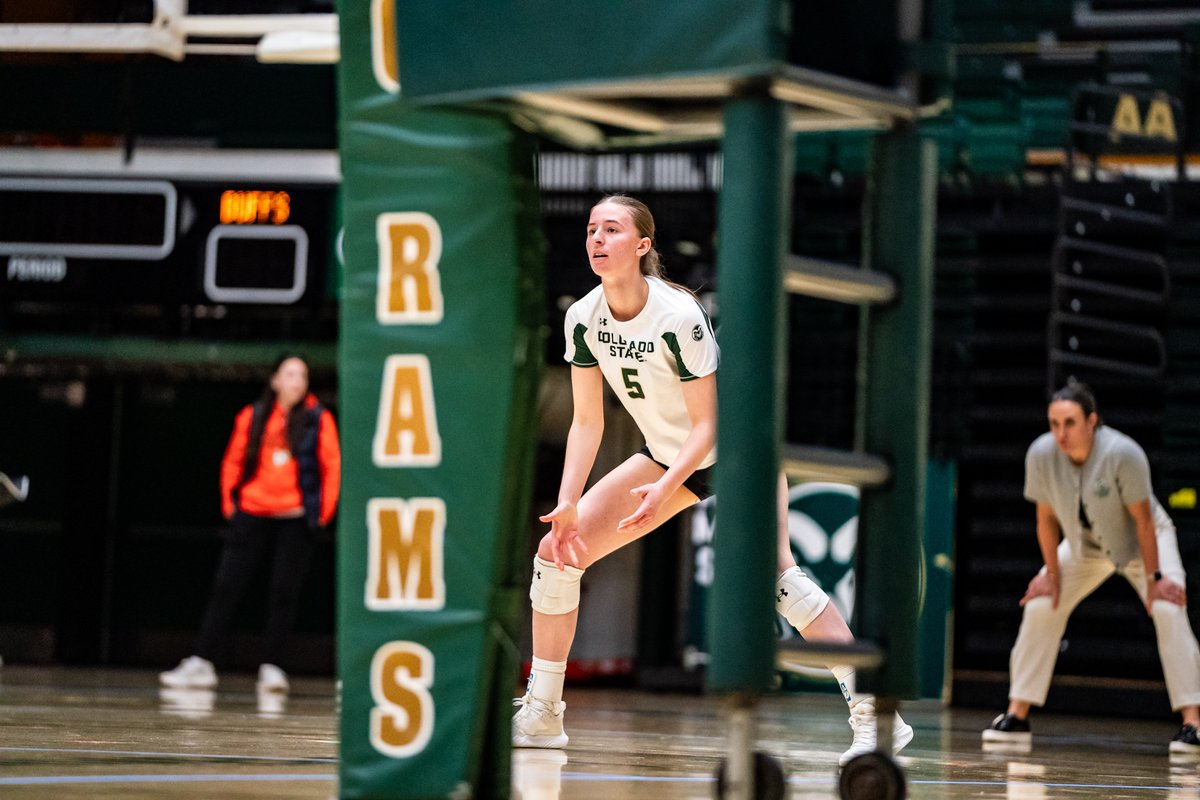Colorado State Volleyball tweet media
