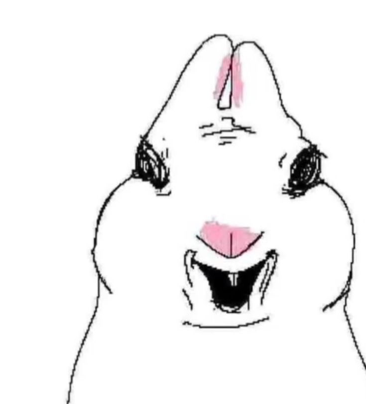 priscilla ݁ᛪ༙ tweet media