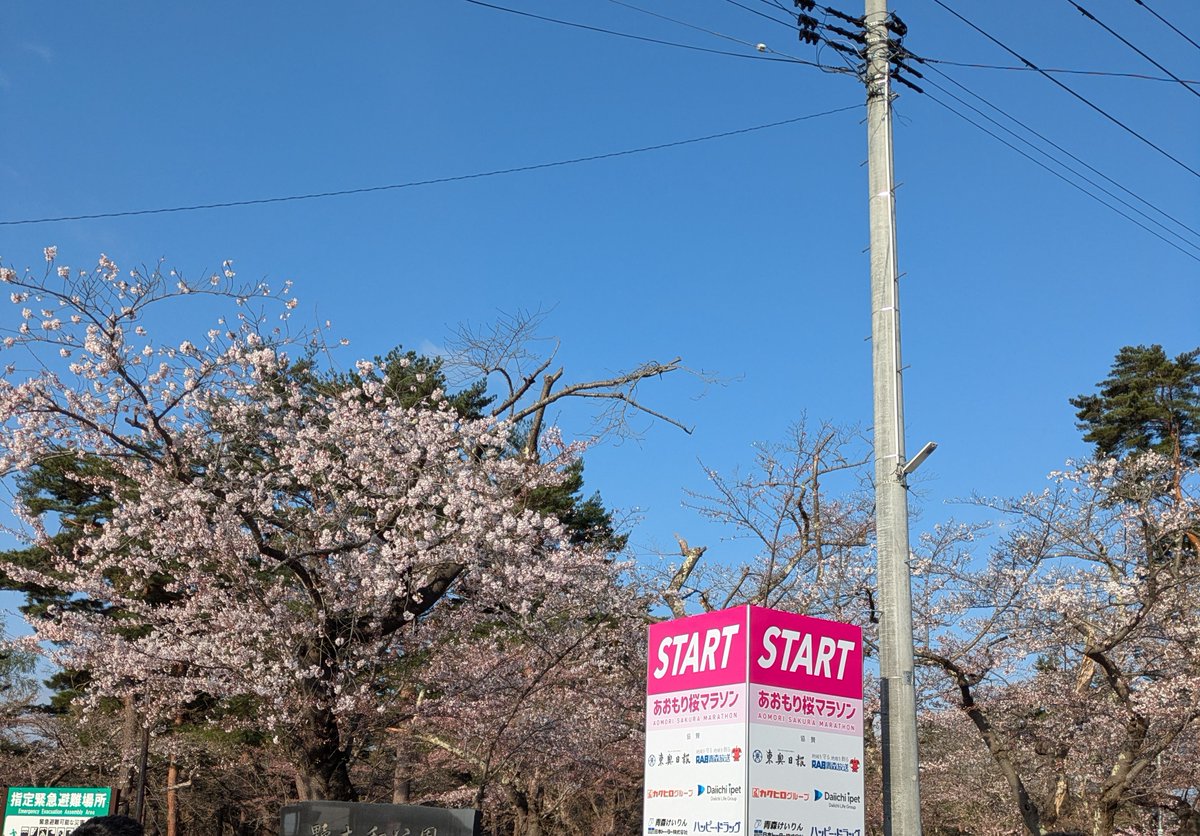 帽子　5/17いわて奥州きらめきマラソン tweet media