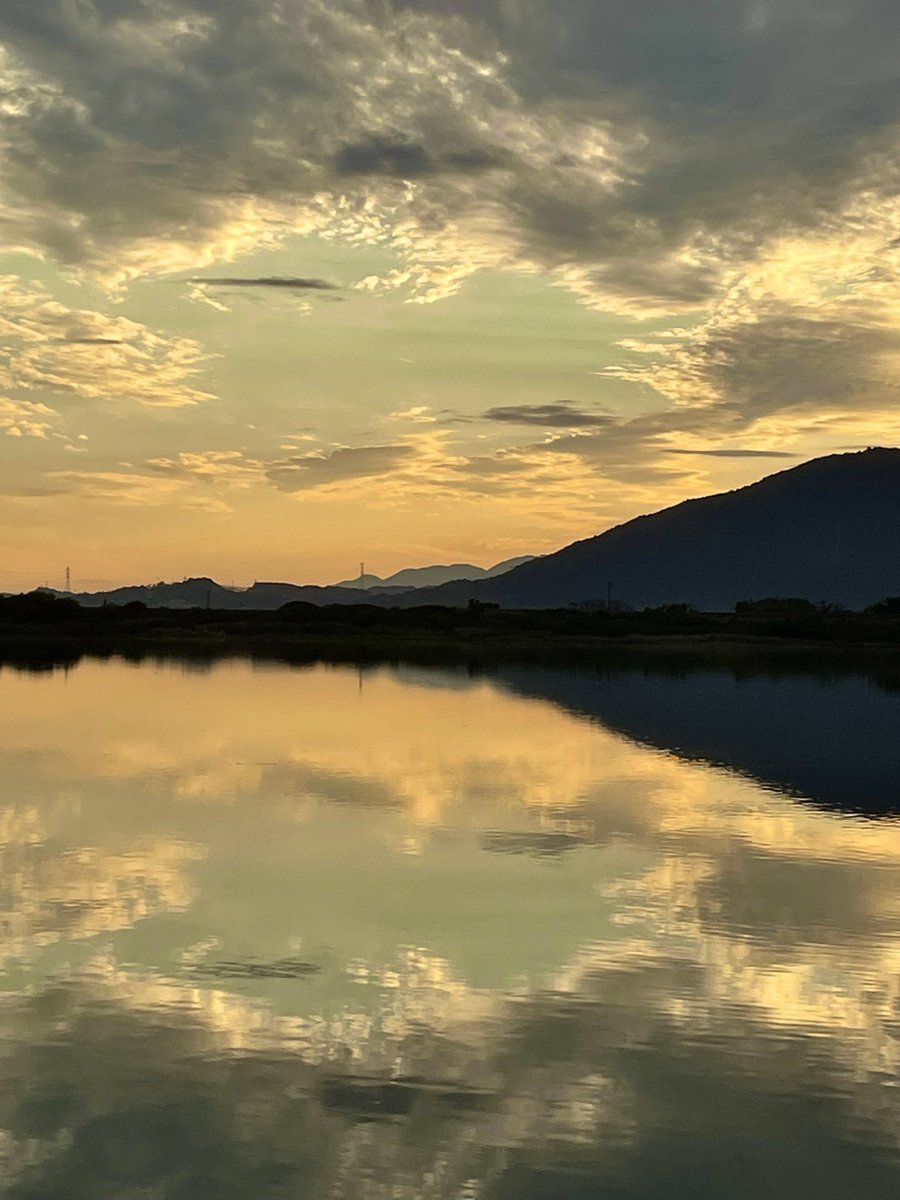 いっちぃ tweet media