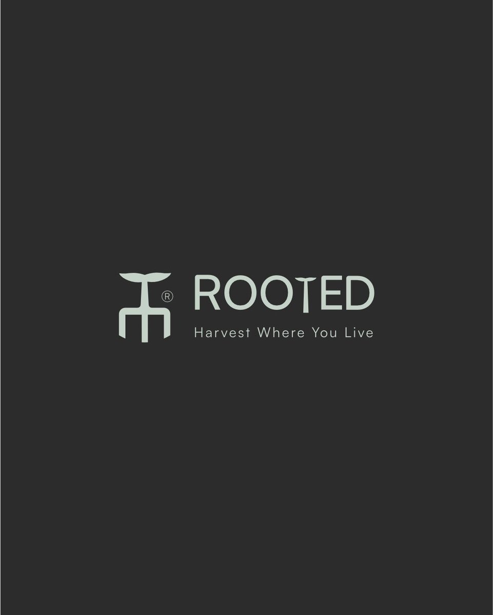 dodesigns_'s tweet image. How I designed Rooted to look and feel:

#graphicdesigner #strategy #brandidentity