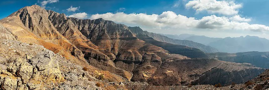 Chudmaxxer tweet media