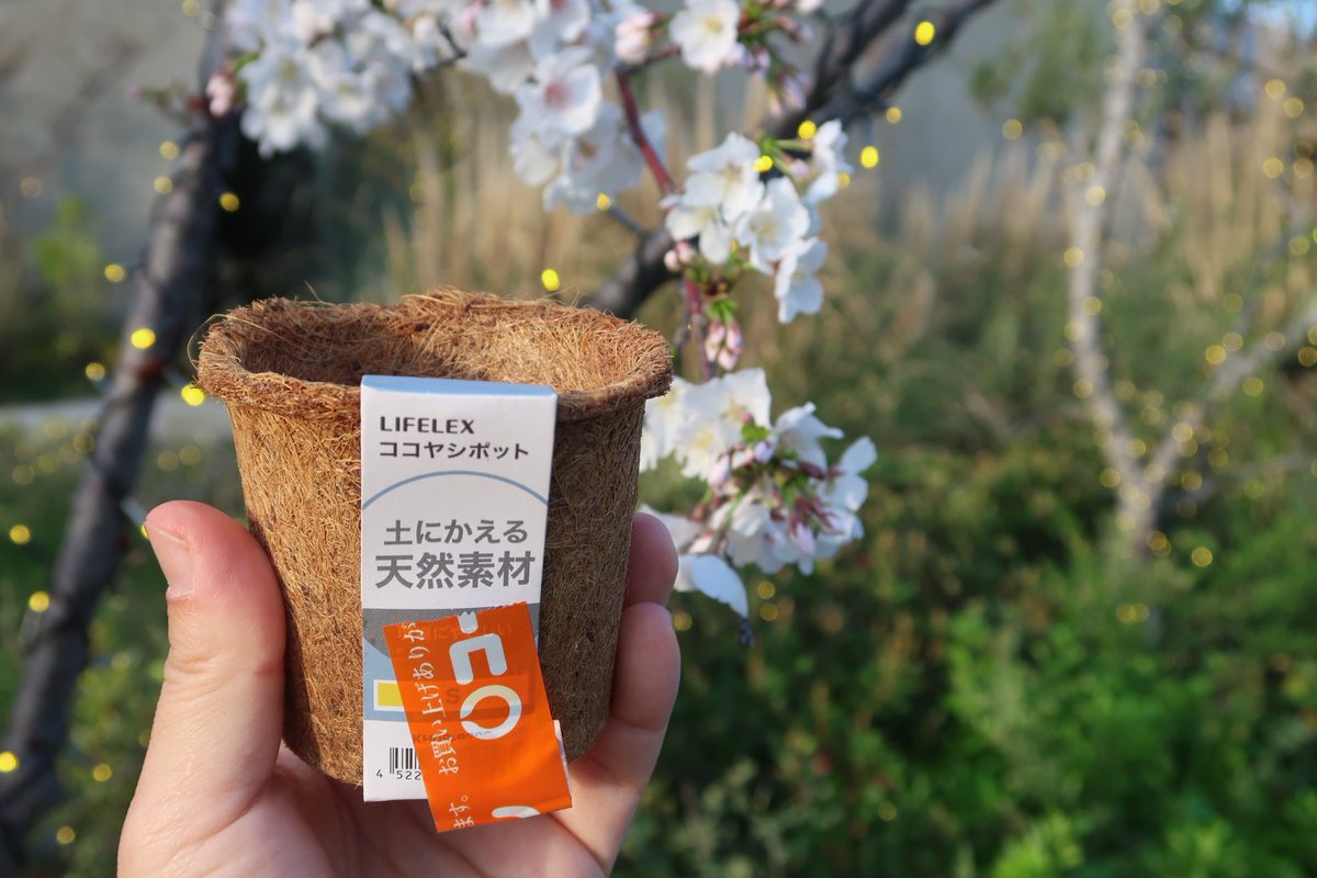 後　降裏夫 tweet media