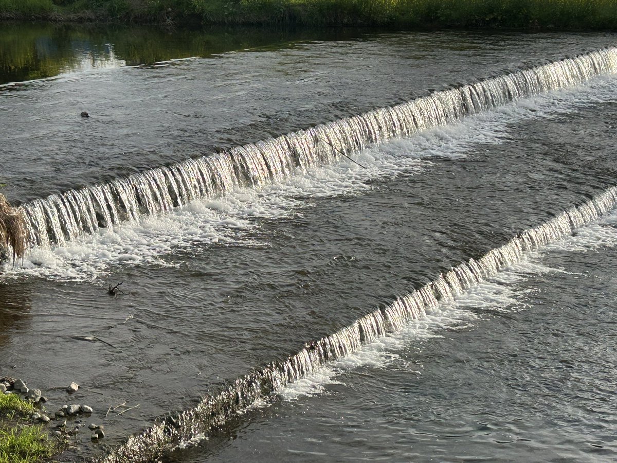 えいざる@駅メモ tweet media