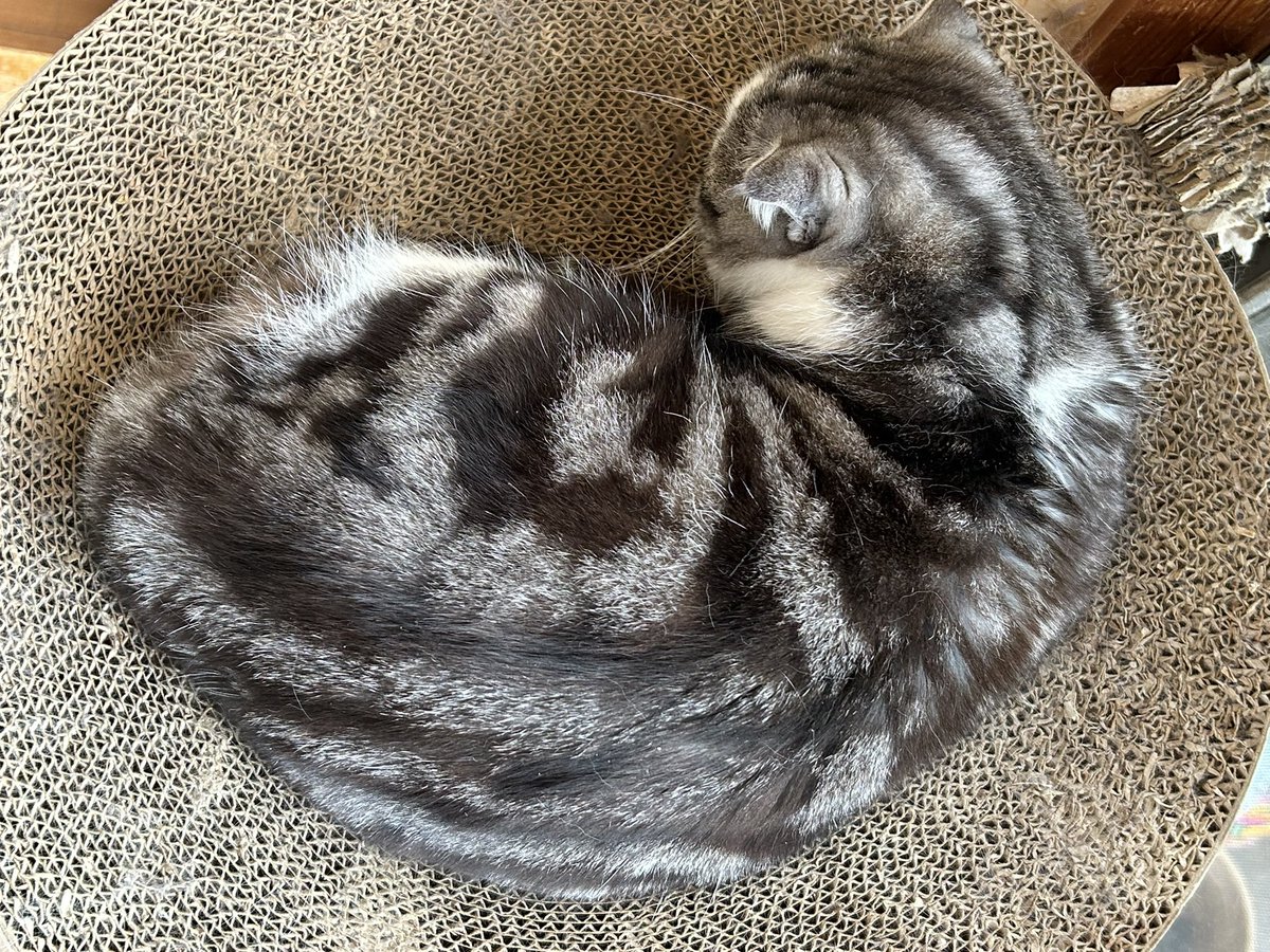 えいざる@駅メモ tweet media