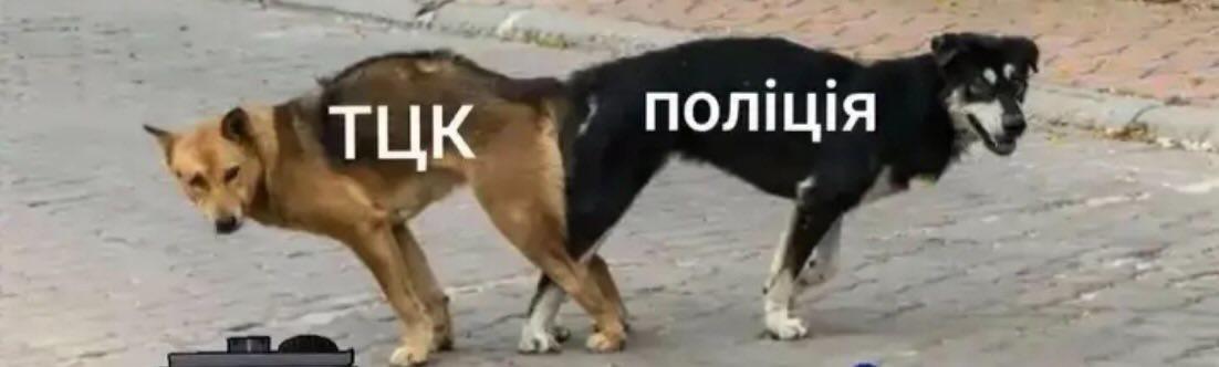 Aleksandr Graf 👑 tweet media