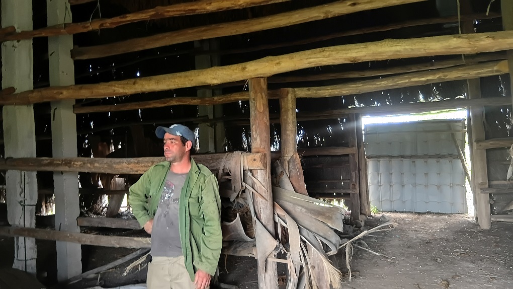 Rodolfito y el sol palo: la historia de una pasión (+Video Podcast) - rcabaiguan.cu/?p=64659