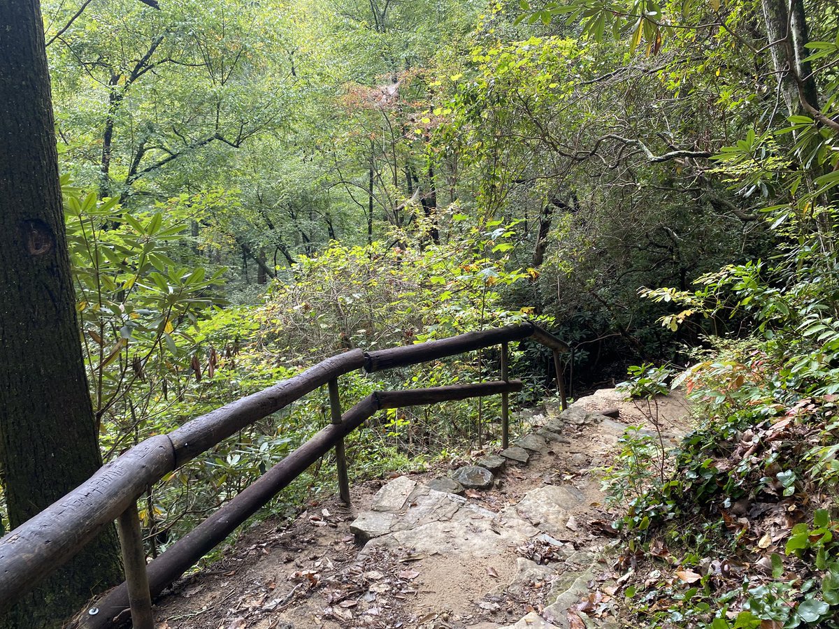 Rye ⋆.˚ 🦦⋆ tweet media