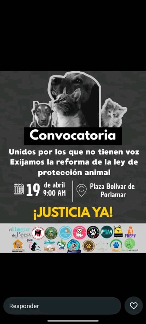 margaritapets tweet media