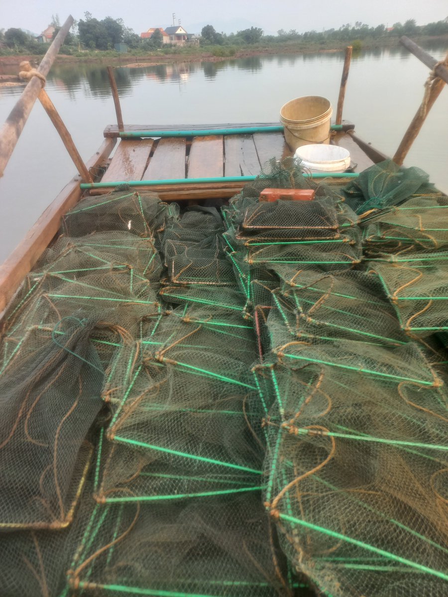 Lê Văn Chương tweet media