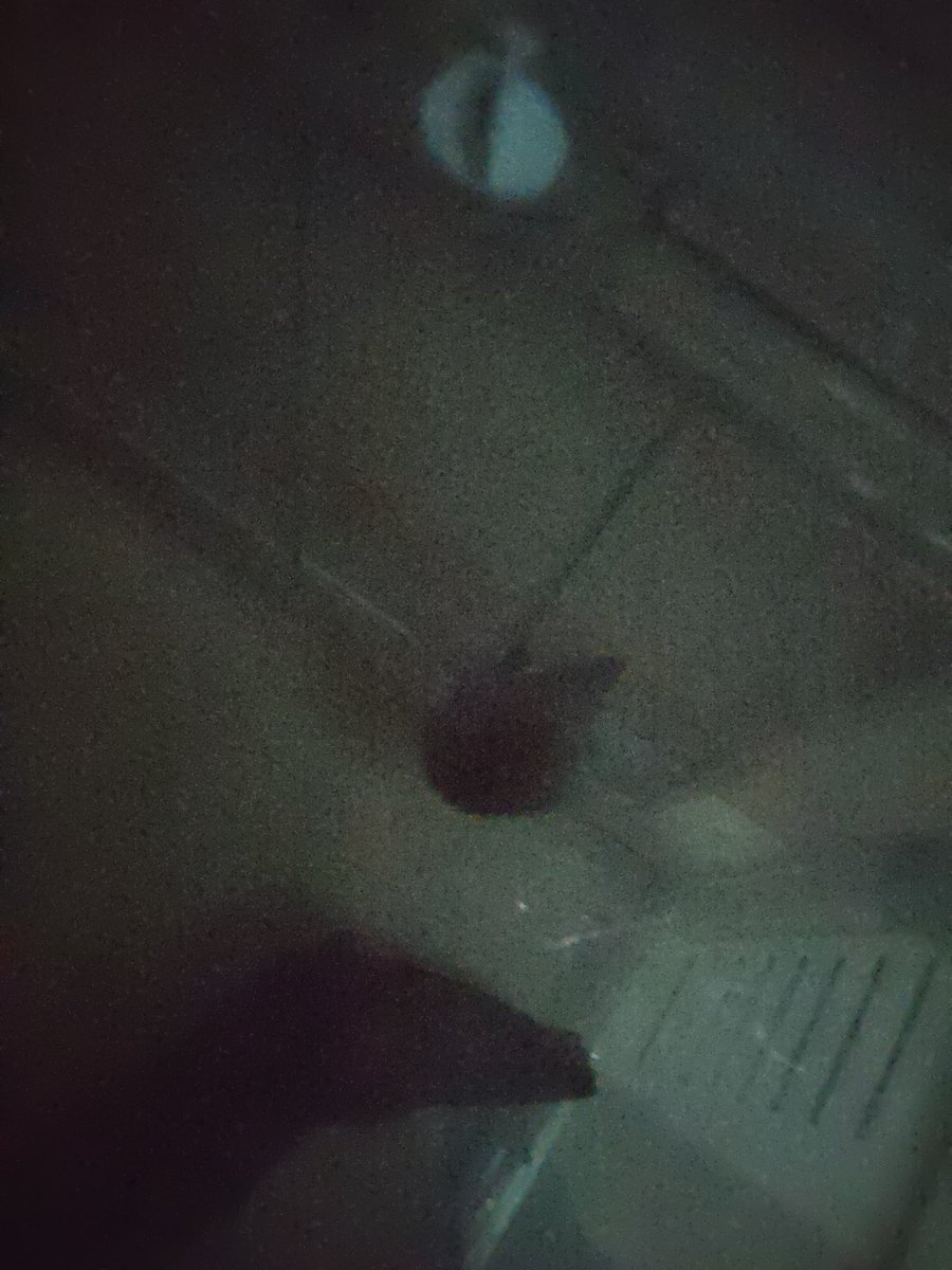 髙橋☽ tweet media