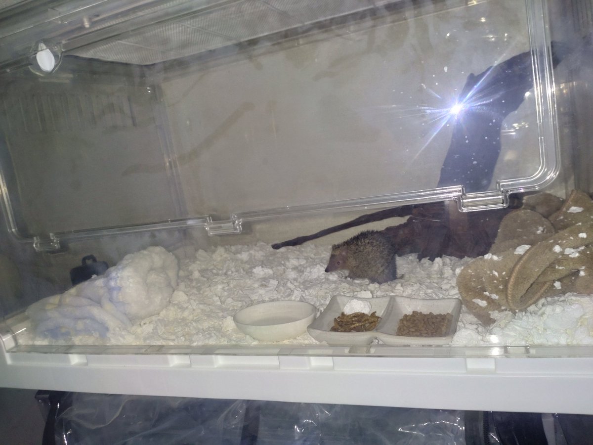 髙橋☽ tweet media