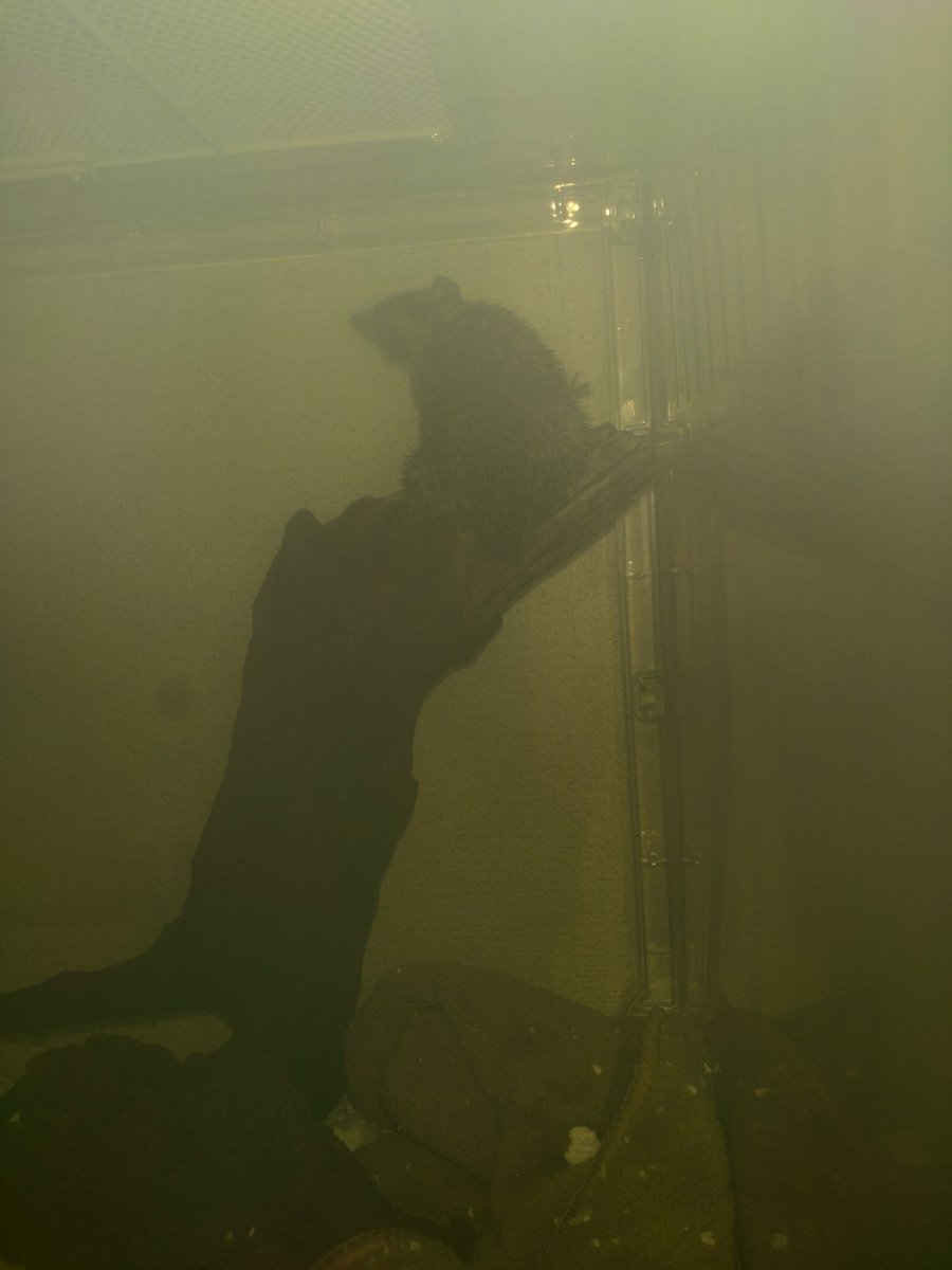 髙橋☽ tweet media