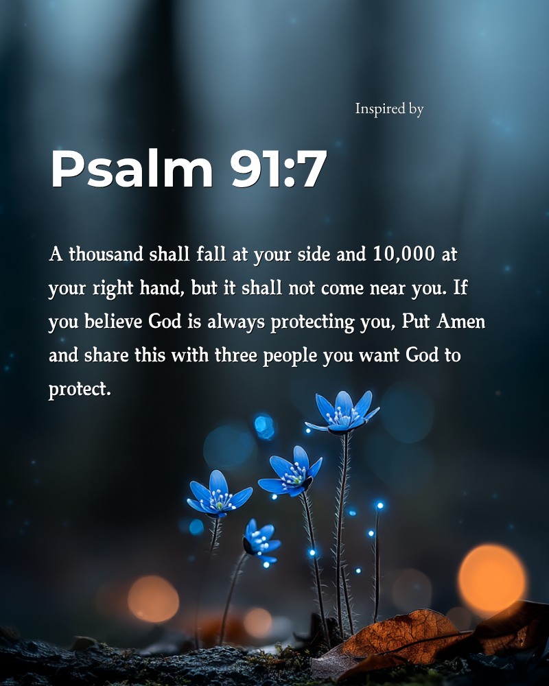 Kim,Jong-ill tweet media