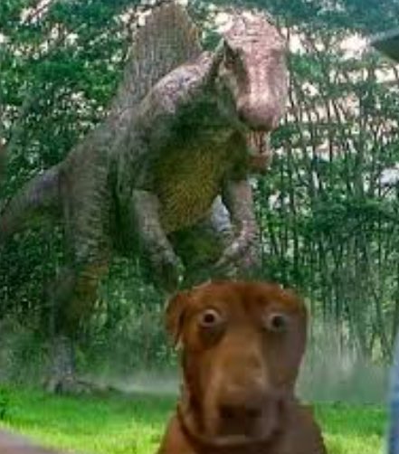 BRN まかろん tweet media