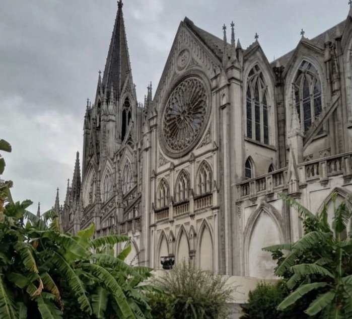 Nacionalista en Lucha 🇺🇾🌲☀️ tweet media