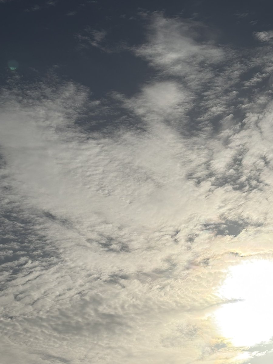 あんばたあ tweet media