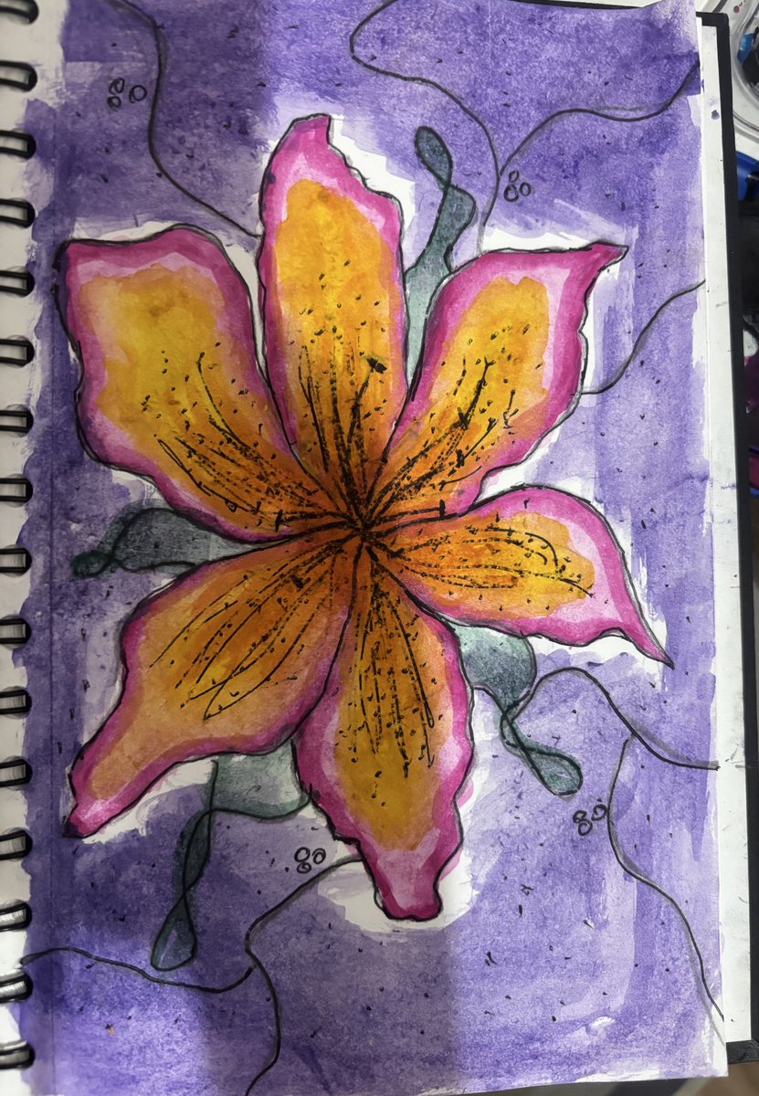 mari 🐈‍⬛🐾 tweet media