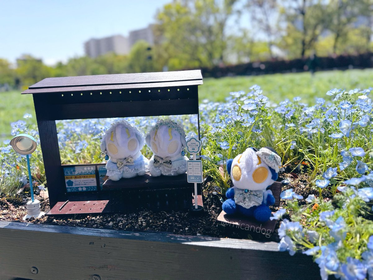 みかんいぬ tweet media