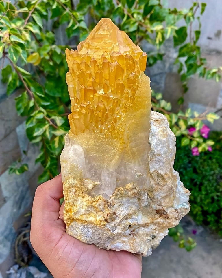 GeologyWonders1's tweet image. Fantastic Yellow Quartz Specimen from Skardu Pakistan.

📷 Hamza Gems Minerals

#minerals #geology