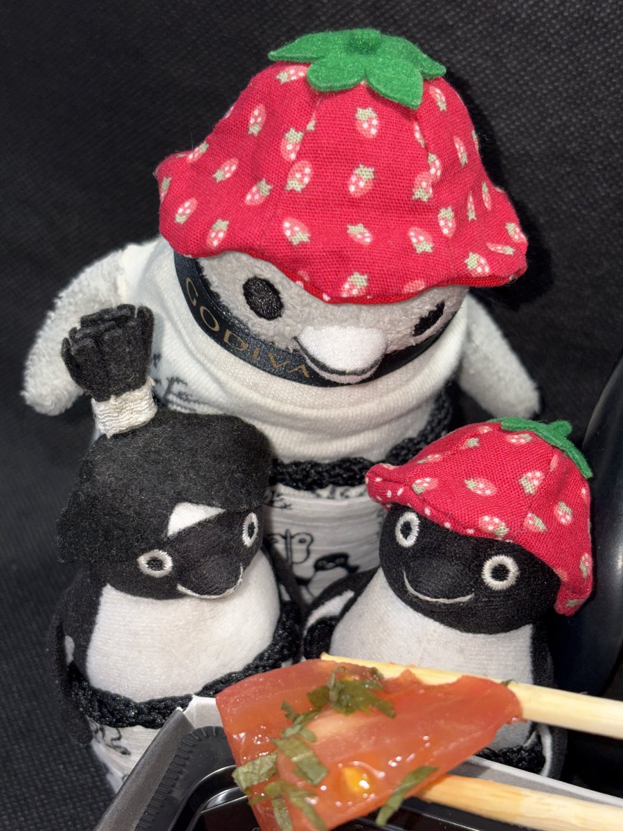 バショウカジキ tweet media