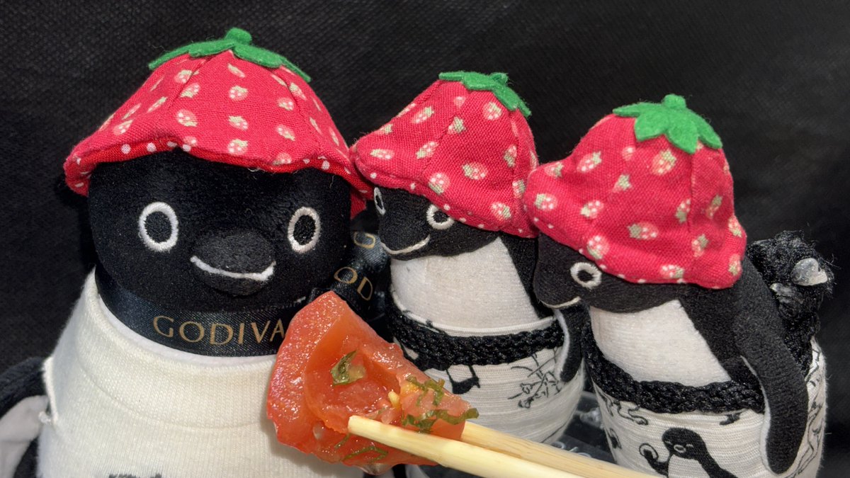 バショウカジキ tweet media