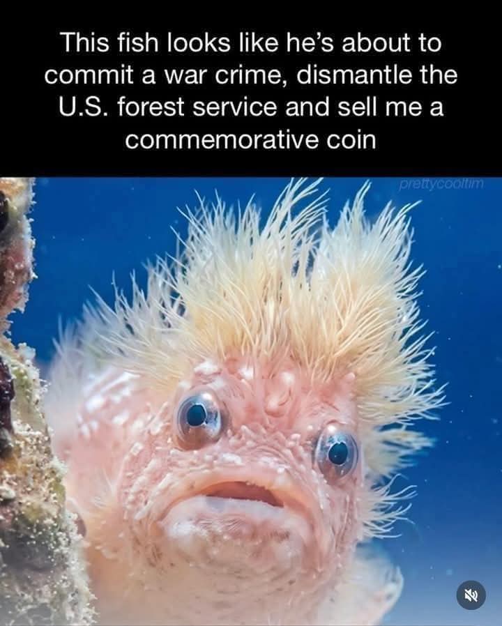 Gloria DeGeorge tweet media