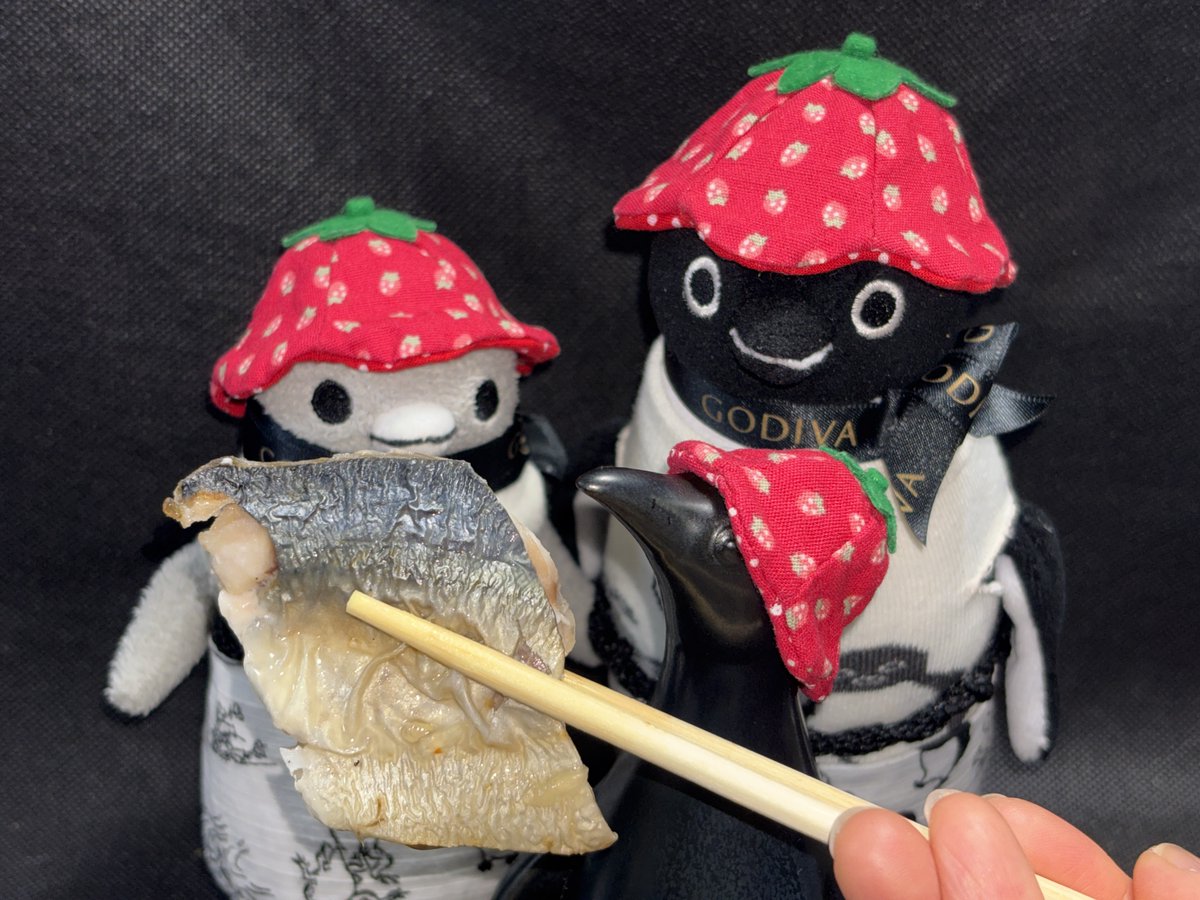 バショウカジキ tweet media