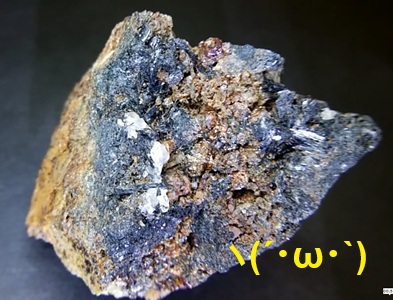 necoたん tweet media