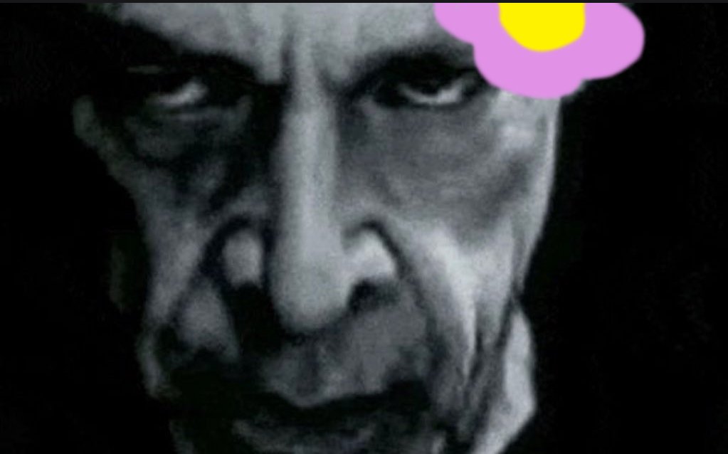 Tortieza 🌸🌸🌸 tweet media