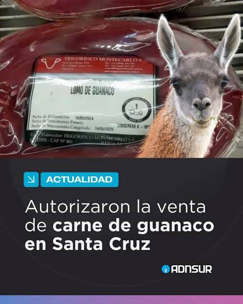 Calleti 🇲🇽 tweet media