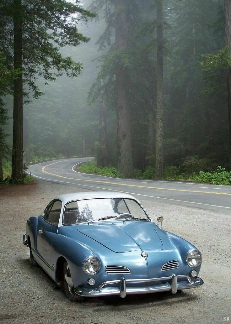 R🪴bert Slavey tweet media