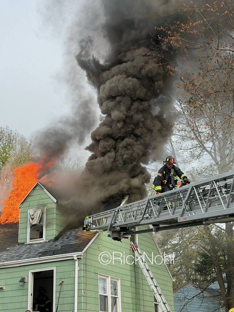 DAMIAN DRELLA tweet media