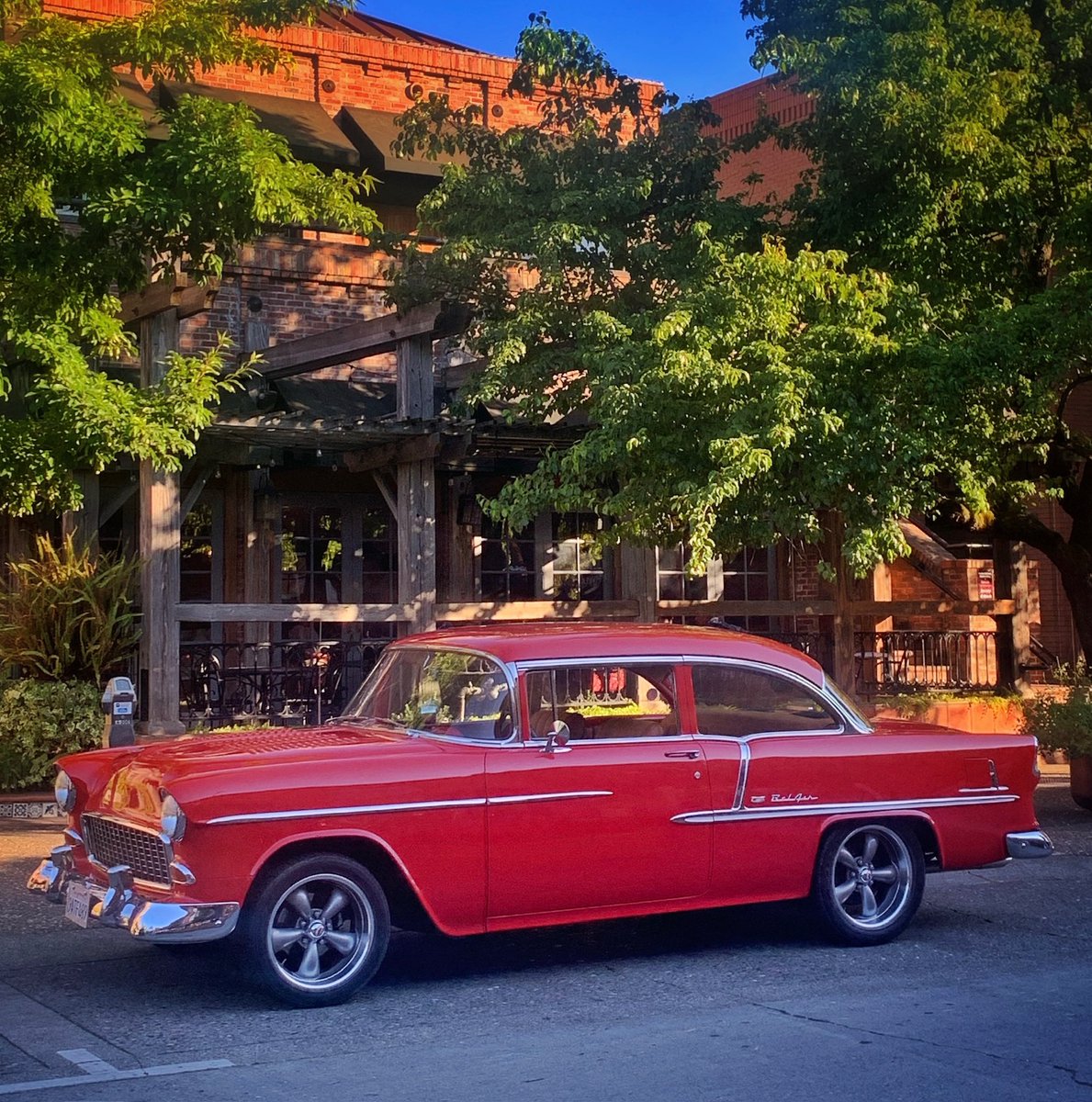 R🪴bert Slavey tweet media