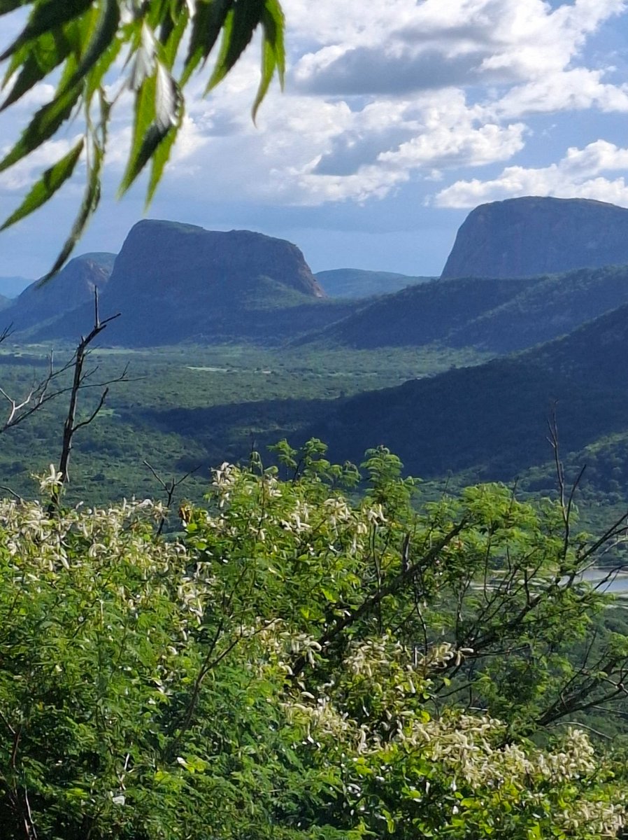 Andre Panda🚩⚛️ tweet media