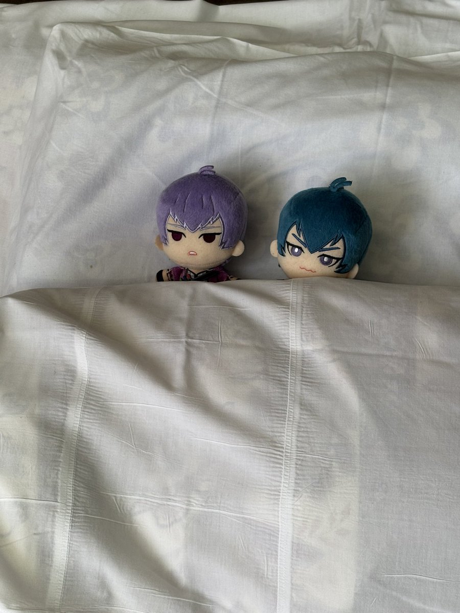 べりこ@5/6東2た20a tweet media