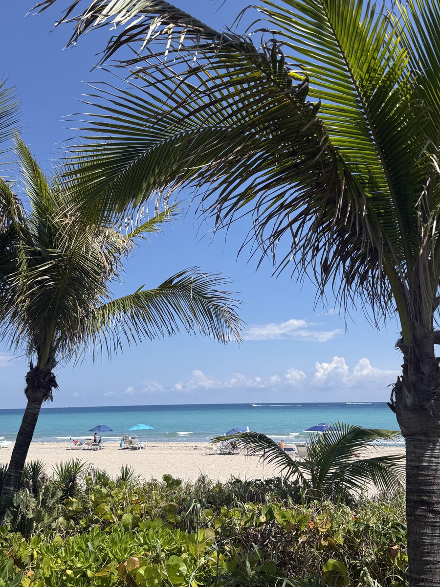 Tempo Trades tweet media