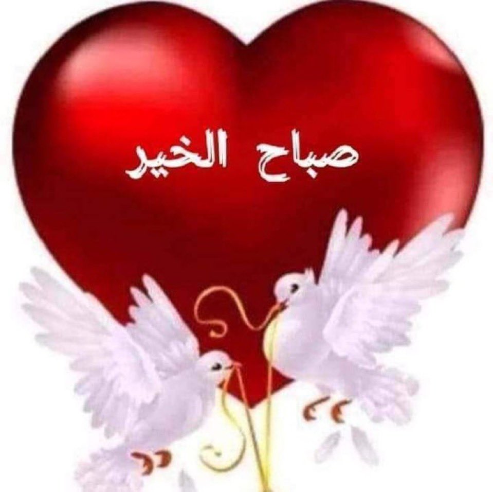 ♥️ 🇰🇼 بنت النور ♥️🇰🇼 tweet media