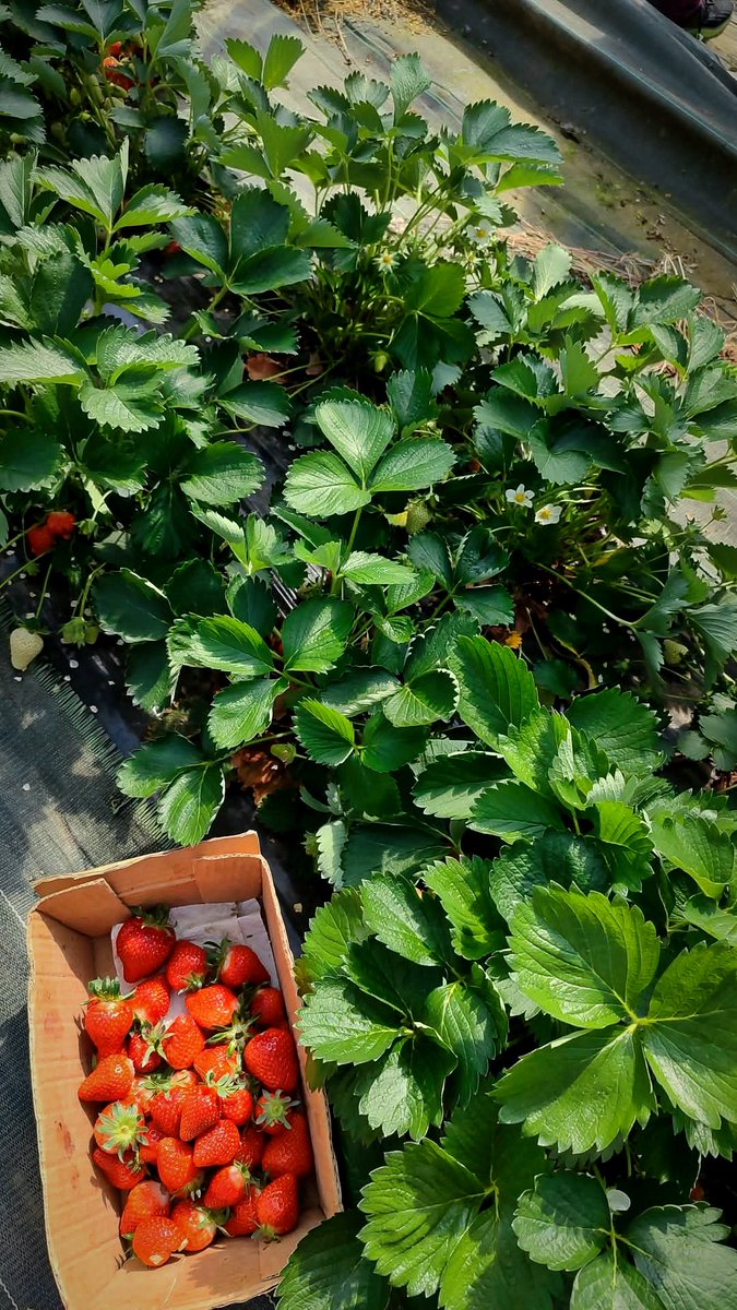 Jteakache tweet media