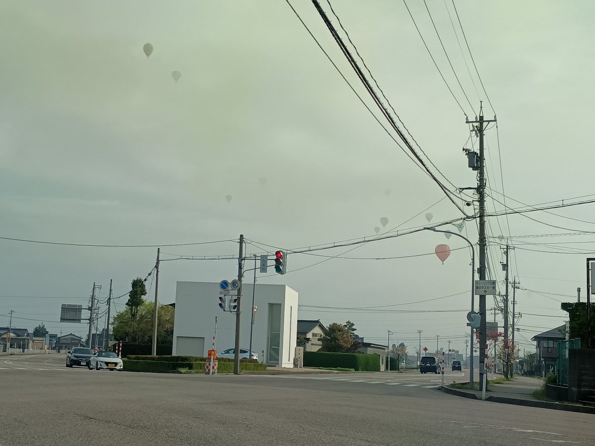 サニー大好き～！(マツ大輔)💭ﾀｽｹﾃｰｲｯｾﾝﾏｰﾝ tweet media