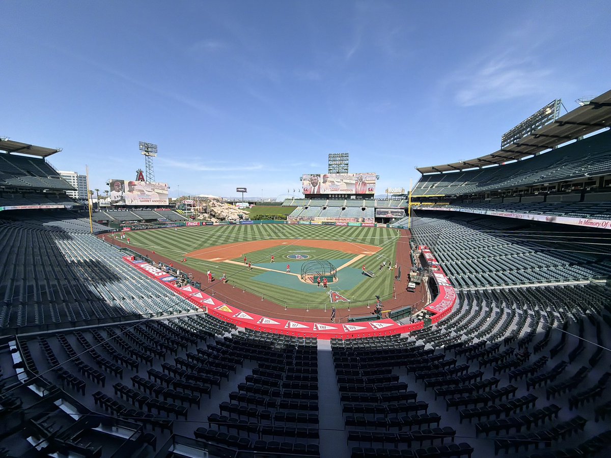 Sammy Levitt tweet media