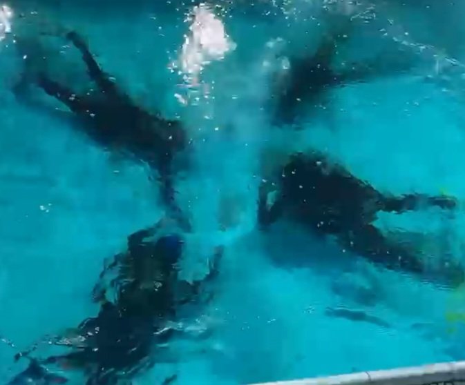 Rocas Architect tweet media