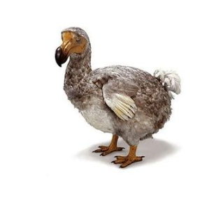 Jane Mary Asher tweet media