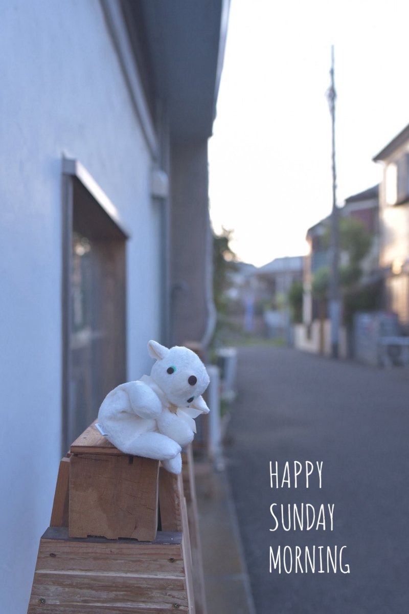 おはよ~(‘(ｪ)’)／🐣

すてきな日曜日を☺︎🐈

本日もご安全に(‘(ｪ)’)ゞ🐕彡✨

#ぬいぐるみ #ハンドメイド #ターナーさん #ぬい撮り 425up👀kalafta.handcrafted.jp