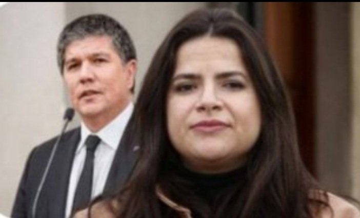 Fernanda tweet media