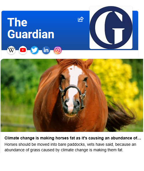 Jane Mary Asher tweet media